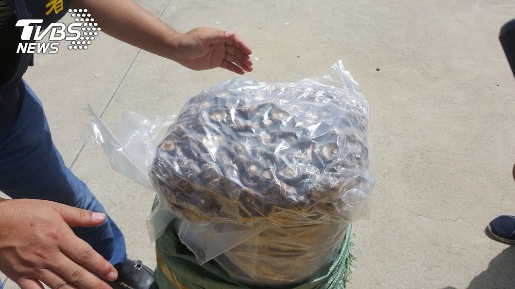 端午節香菇夯 海巡查獲澎漁船走私
