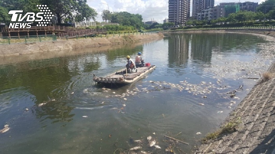 天熱造成?高雄後勁溪清出魚屍近10噸