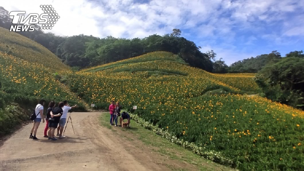 農業旅遊250元抵用券 延至7月中上路