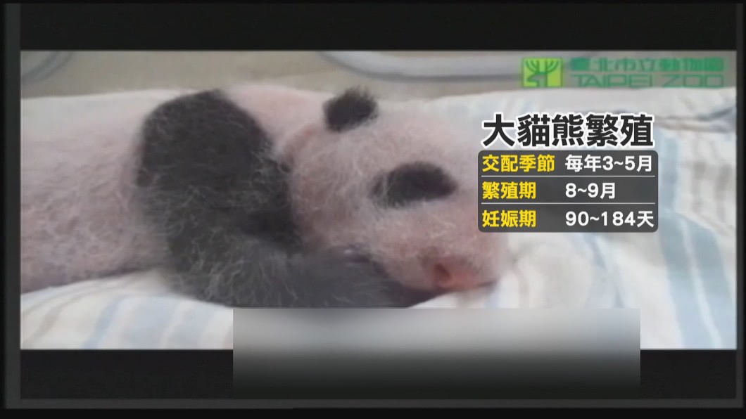 圖/翻攝自台北市立動物園