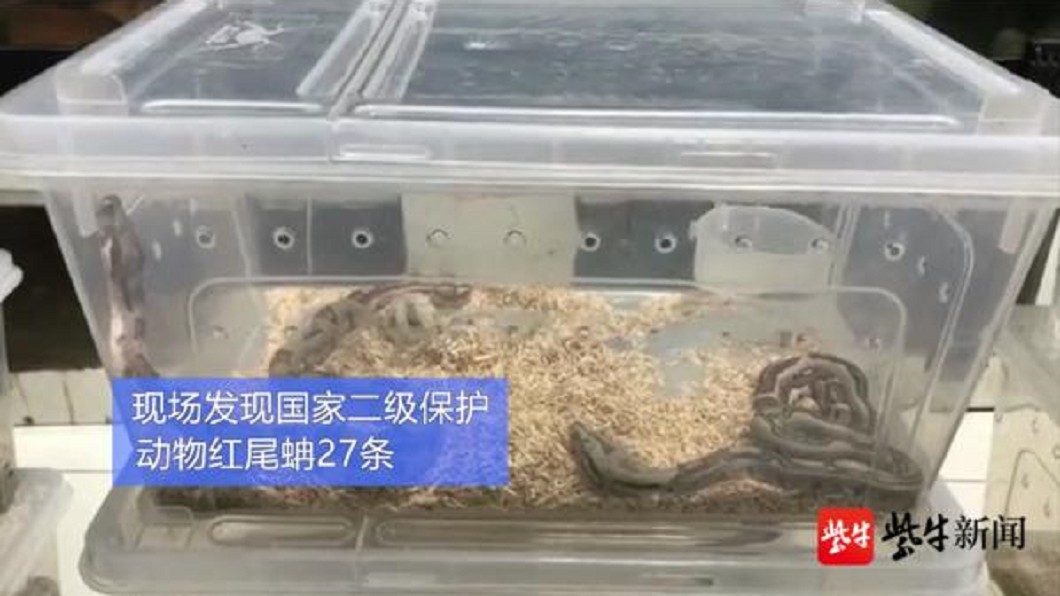 圖/翻攝自紫生新聞微博