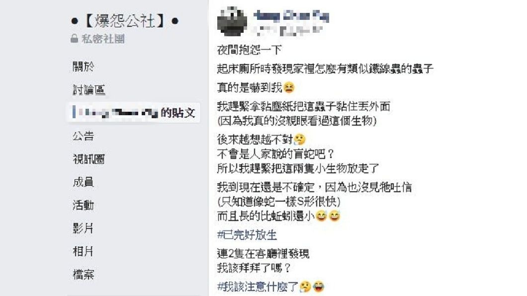 有女網友分享自己在家中看到2條看似蚯蚓的蟲類。(圖/翻攝自爆怨公社)