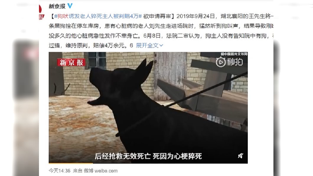 (圖/翻攝自新京報微博)