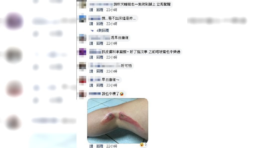 (圖/翻攝自爆廢公社)