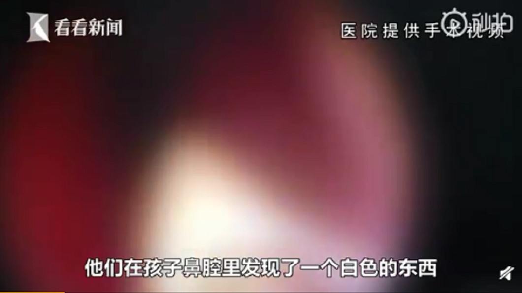 (圖/翻攝自看看新聞)
