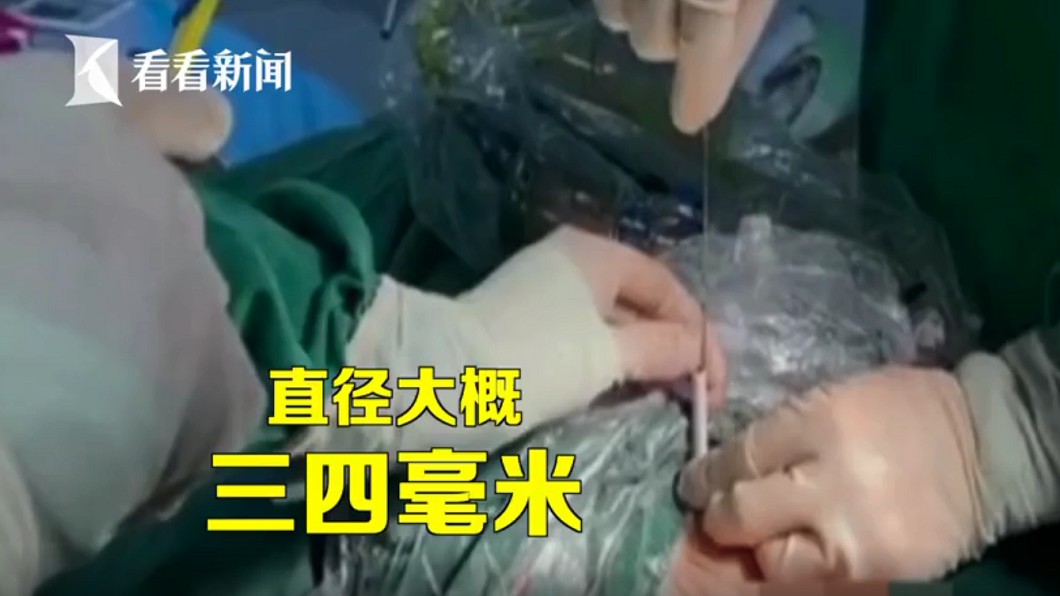 (圖/翻攝自看看新聞)