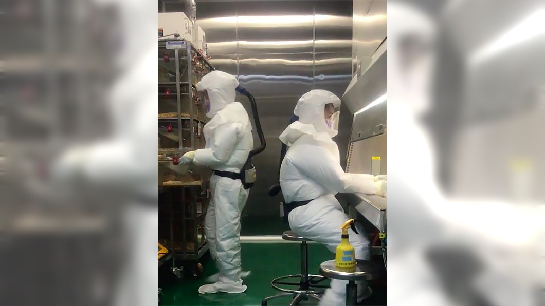 唯一P3實驗室挑大樑 無名英雄甘願為疫苗