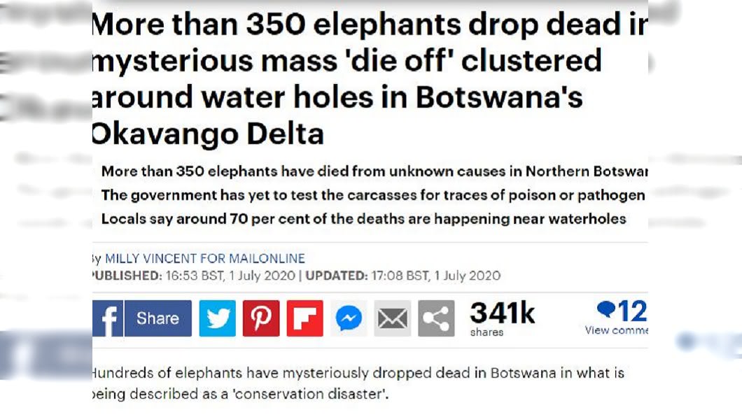 專家在當地已經發現超過350頭暴斃大象的屍體,估計死亡數量應該更多。(圖/翻攝自每日郵報)