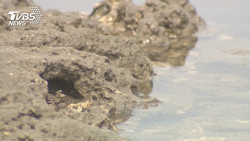 中油三接工程疑破壞大潭藻礁 監委申請自動調查