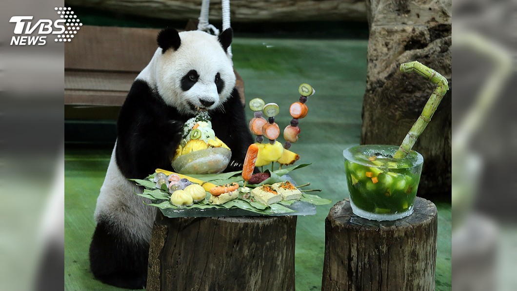 「圓仔」慶7歲生日　動物園用7種台灣小吃特製蛋糕