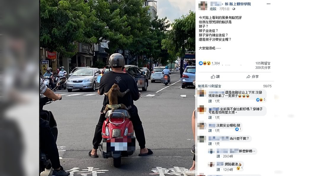 (圖/翻攝自臉書社團「新‧路上觀察學院」)