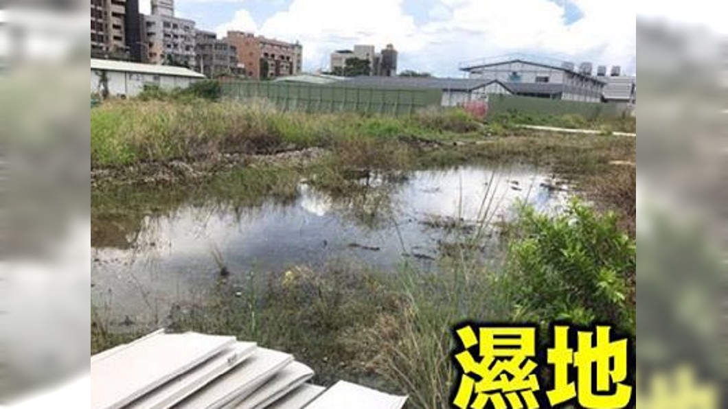 韓心血白費?鳳山車站淪孑孓溫床 網酸:登革市