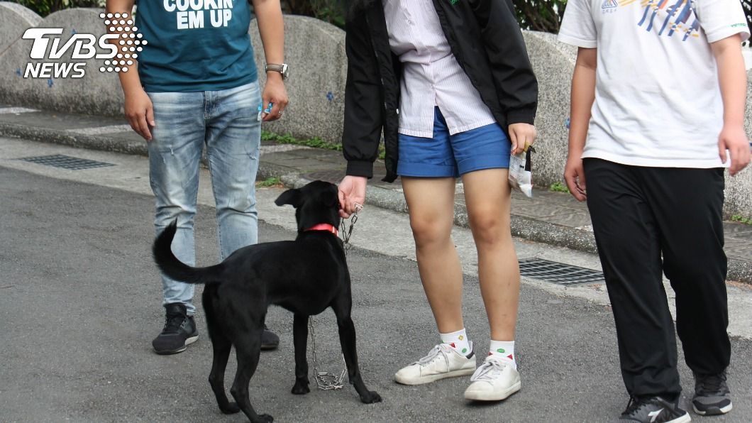 復興高中師生認養小黑狗成校園犬。（圖／新北市動保處提供）