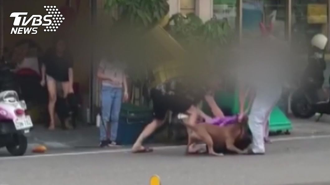 嘉義比特犬越過車道,攻擊對面的土狗。(圖/TVBS)