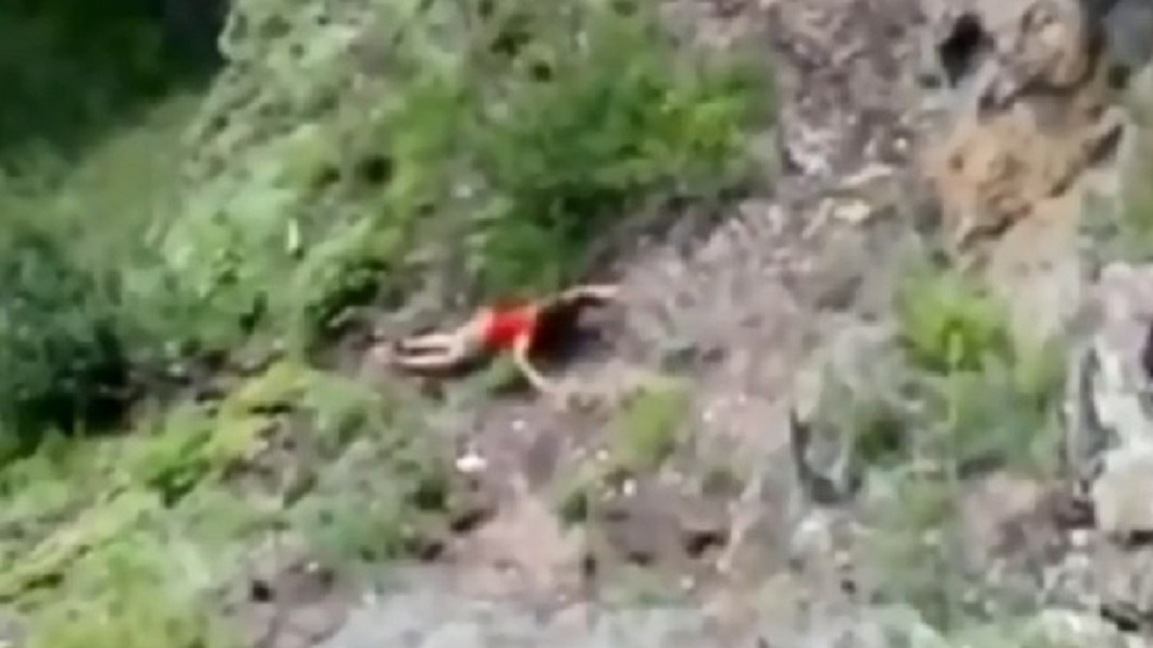 為拍美照慘死！　女墜崖身亡...友拍下致命瞬間