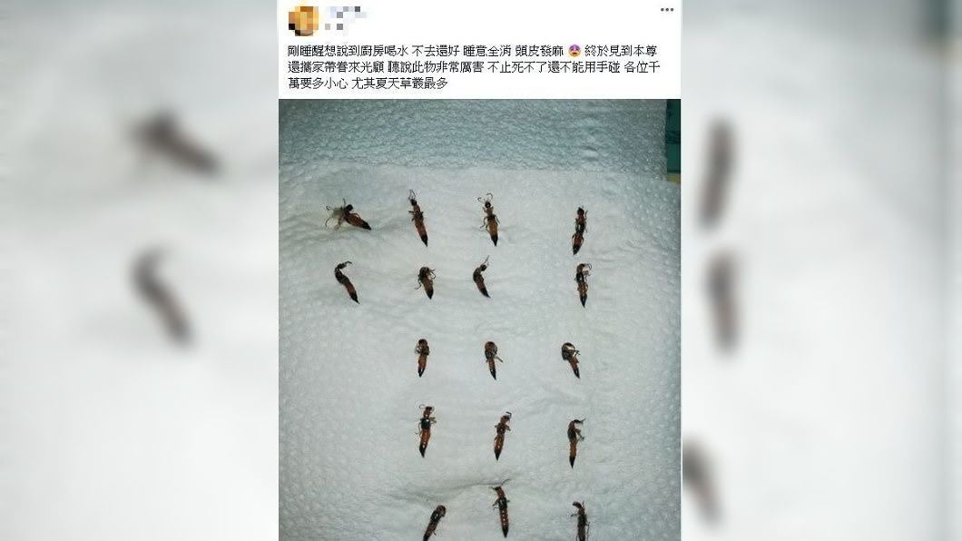 不少網友看到這一幕都嚇呆了。(圖/翻攝自爆廢公社)