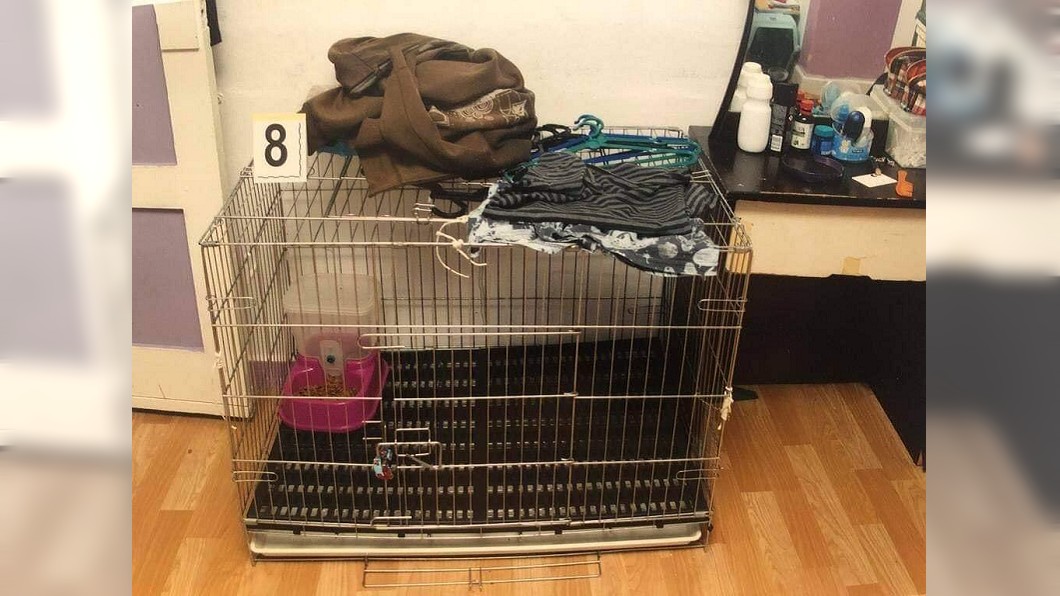這對夫妻把5歲兒子關進狗籠內。(圖/翻攝自推特)