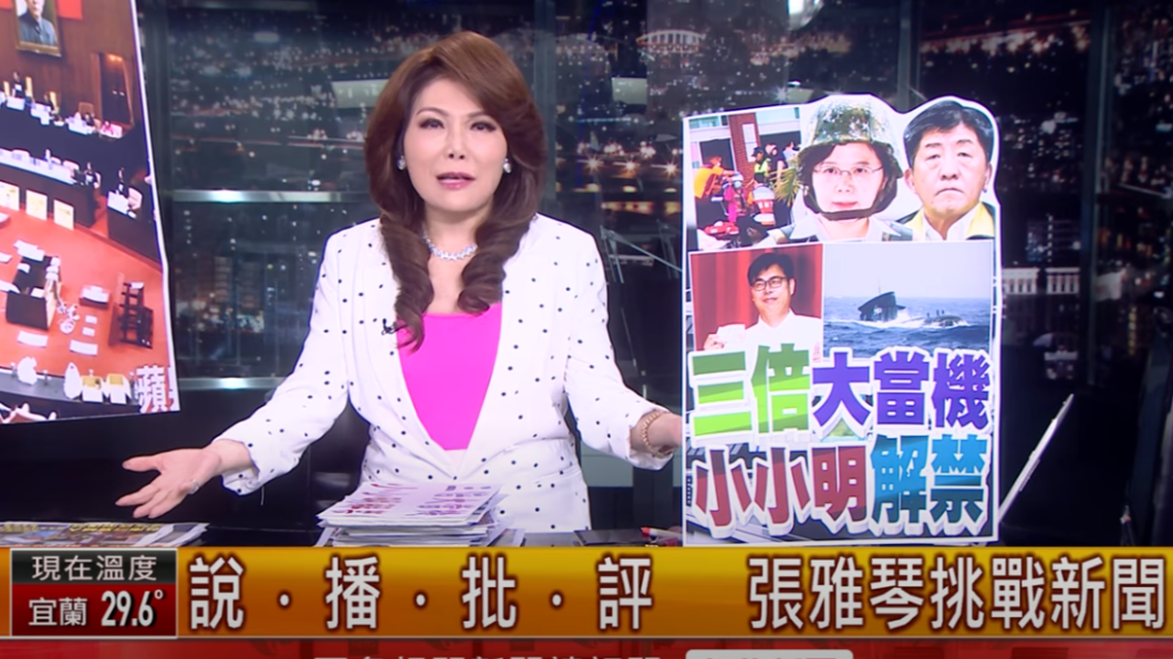 張雅琴批評三倍券是一個失敗政策。(圖/翻攝自YouTube)