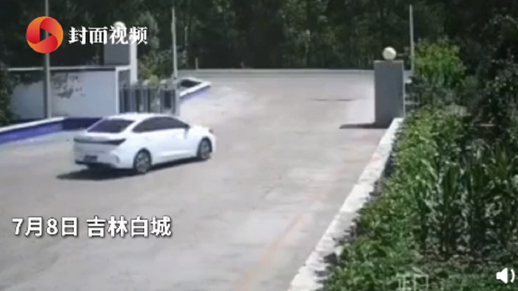 (圖/翻攝自封面視頻)