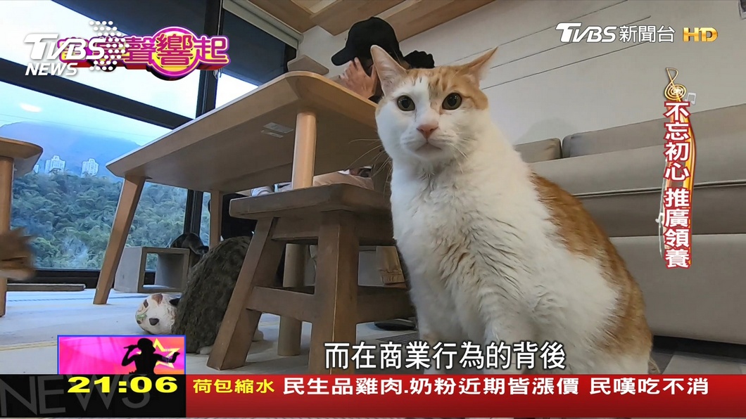 圖／TVBS