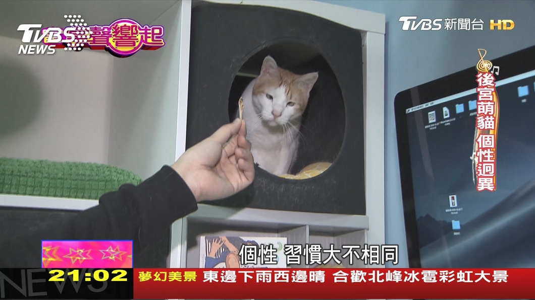 圖／TVBS