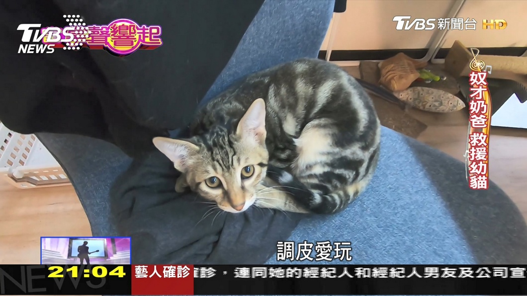 圖／TVBS