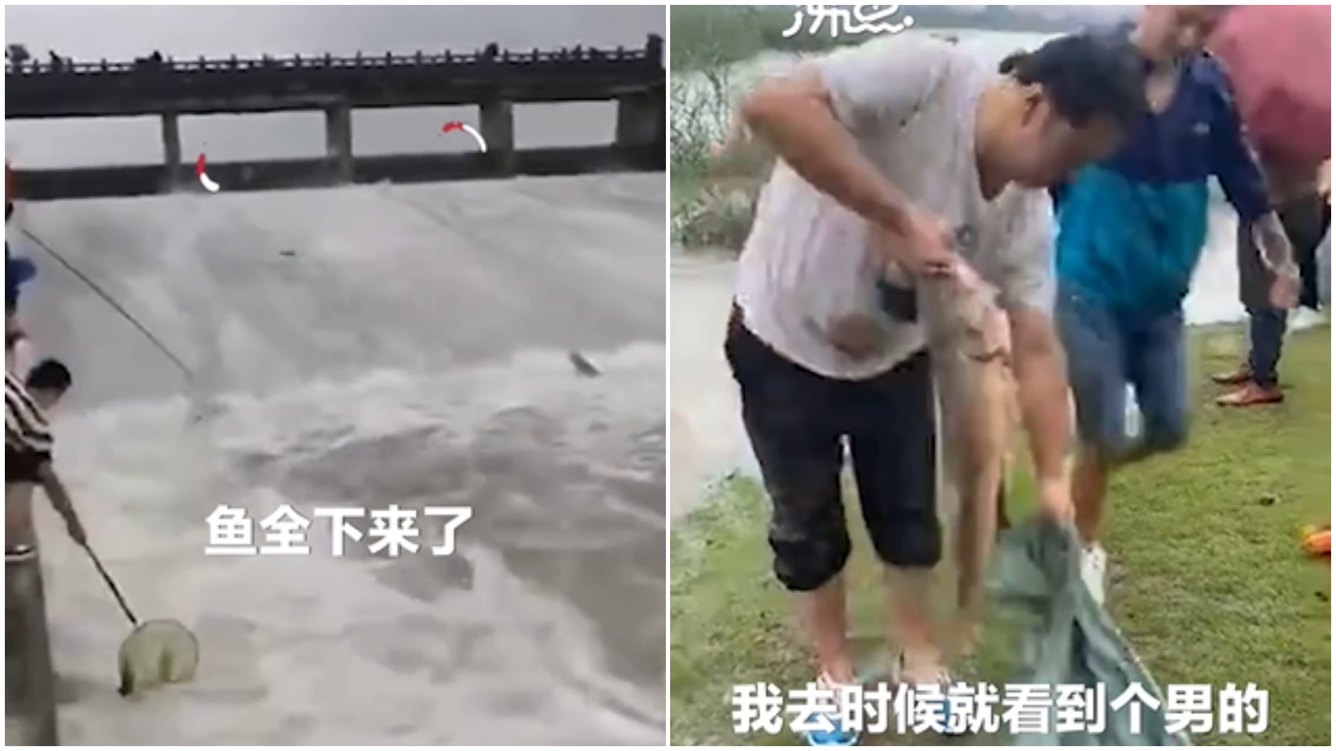 暴雨毀家!居民不要命「衝湖撈魚」 目擊者看傻:至少百人