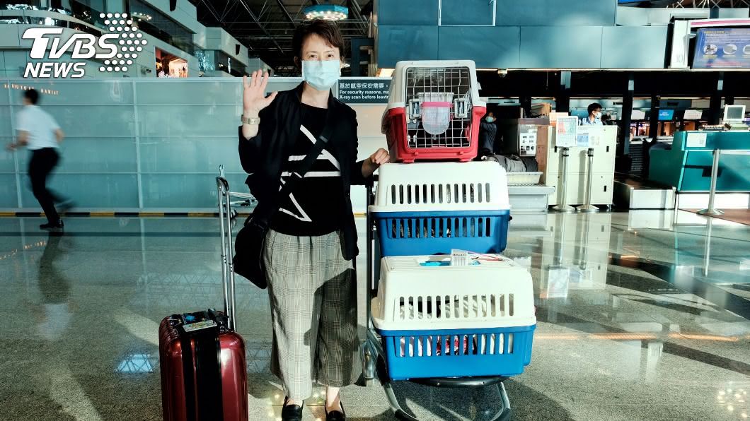 首位女駐美代表蕭美琴今啟程 4貓陪同赴美就任