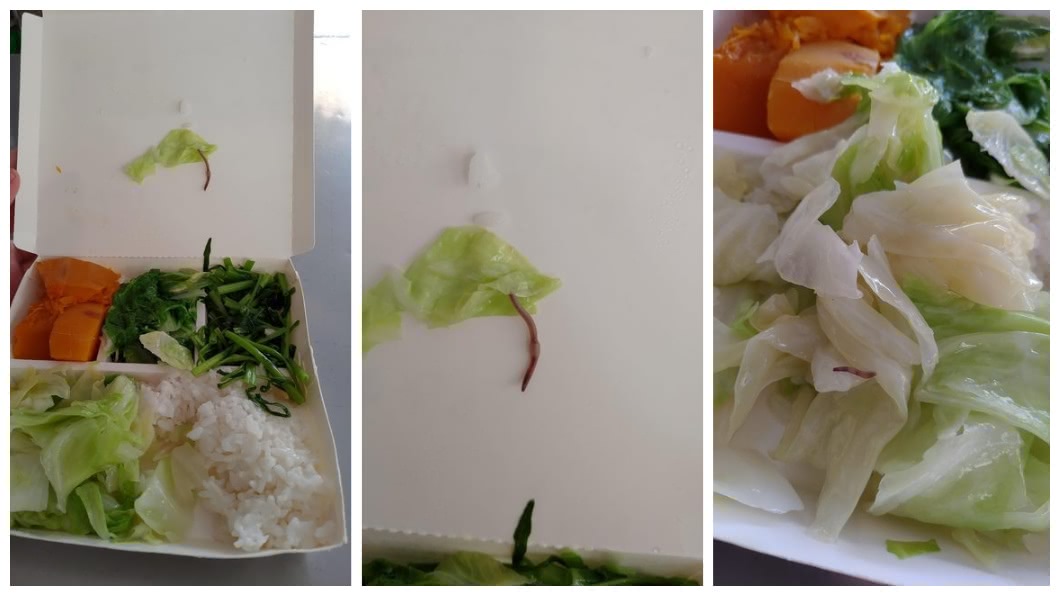 便當高麗菜驚見蚯蚓「猶豫要繼續吃？」　網笑：有機認證