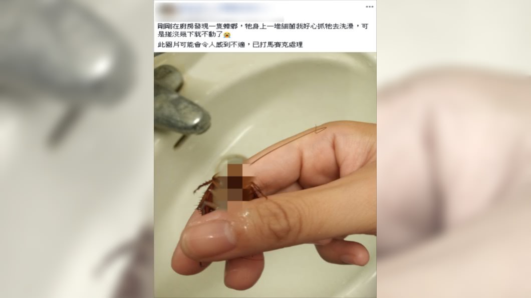 （圖／翻攝自爆廢公社）