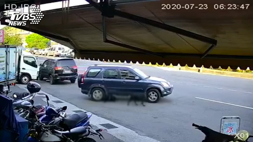 惡劣!無視狠踹黑狗 男倒車輾斃引公憤