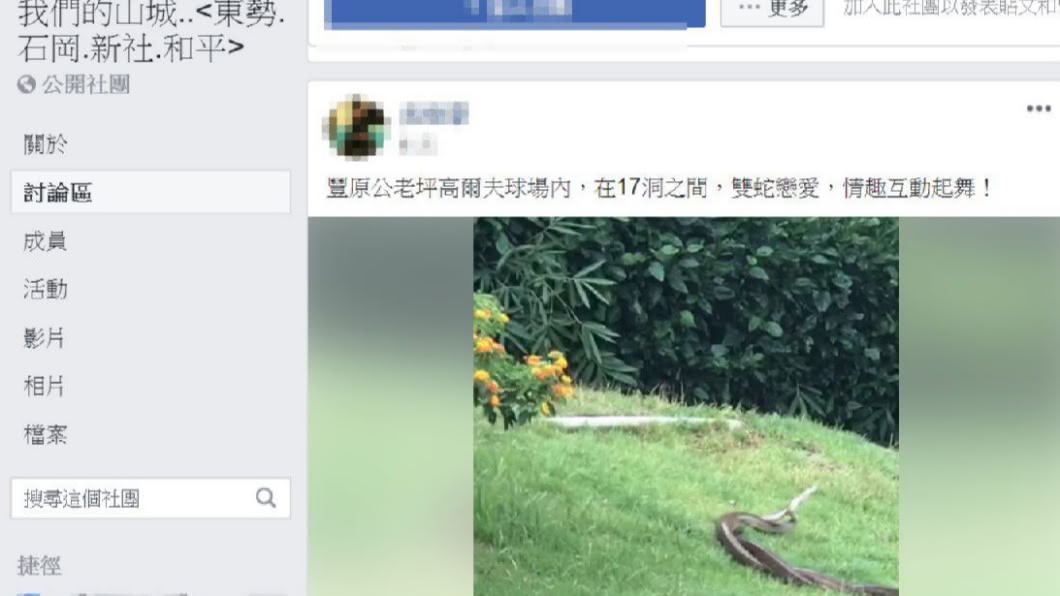 民眾於高爾夫球場看到雙蛇交纏的畫面。(圖/翻攝我們的山城..<東勢.石岡.新社.和平>)