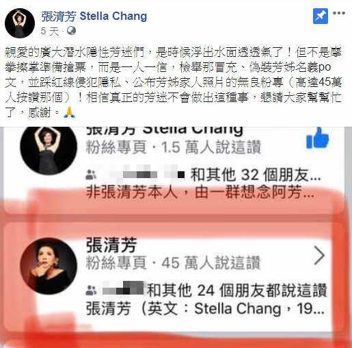 圖/翻攝自臉書粉絲專頁「張清芳Stella Chang」