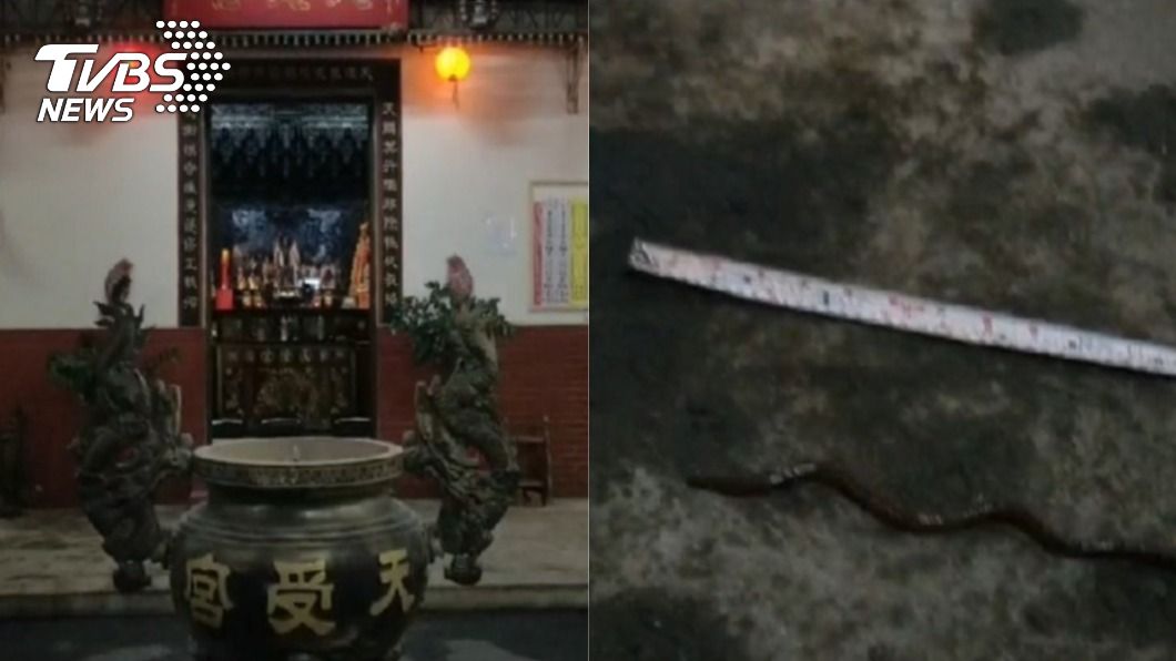 蛇行入廟!60cm巨型蚯蚓地震前出沒 宮主驚呆曝寓意