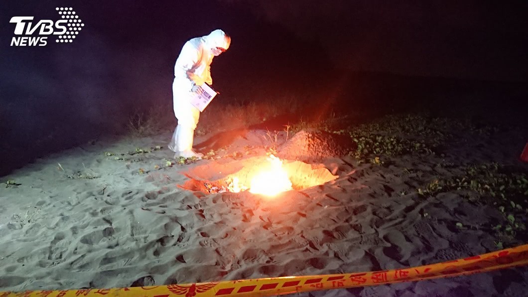 台南四草大橋下赫見豬屍 焚毀掩埋後急消毒