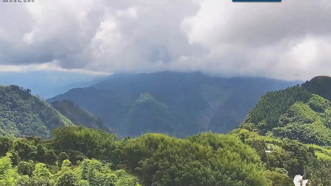圖／畫面提供曾奕豪
