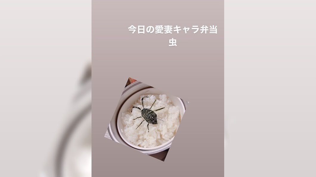 有人妻惡整老公做了1個蟑螂便當,沒想到先生會錯意還打電話向她道謝。(圖/翻攝自推特)