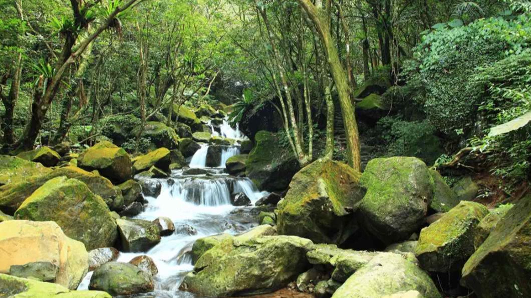 台版「奧入瀨溪流」。(圖/安啾愛旅遊提供)