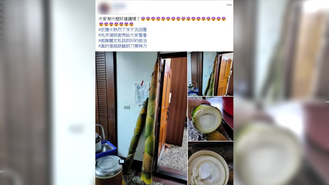 （圖／翻攝自廚藝公社）