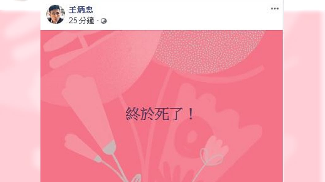 (圖/翻攝自王炳忠臉書)