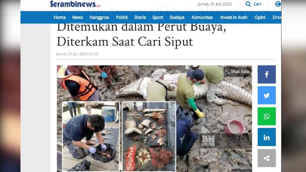 剖開鱷魚肚發現衣服殘骸和屍塊。(圖/翻攝Serambinews)