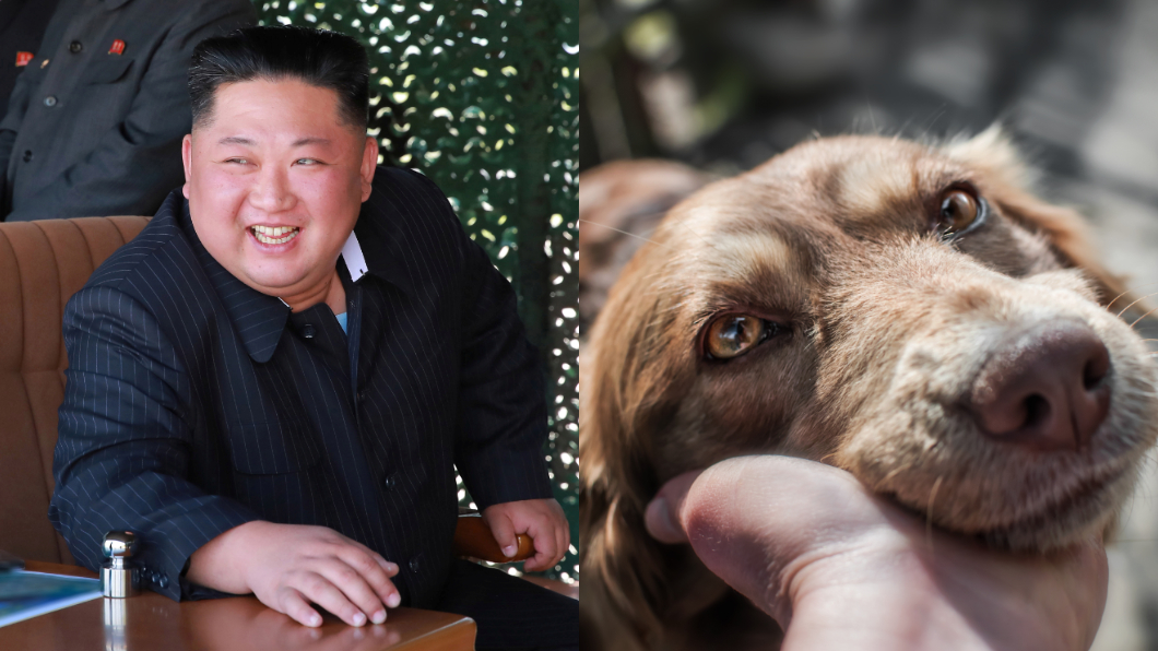 金正恩斥養狗是「沾染資本主義」 逼飼主交出寵物當食材