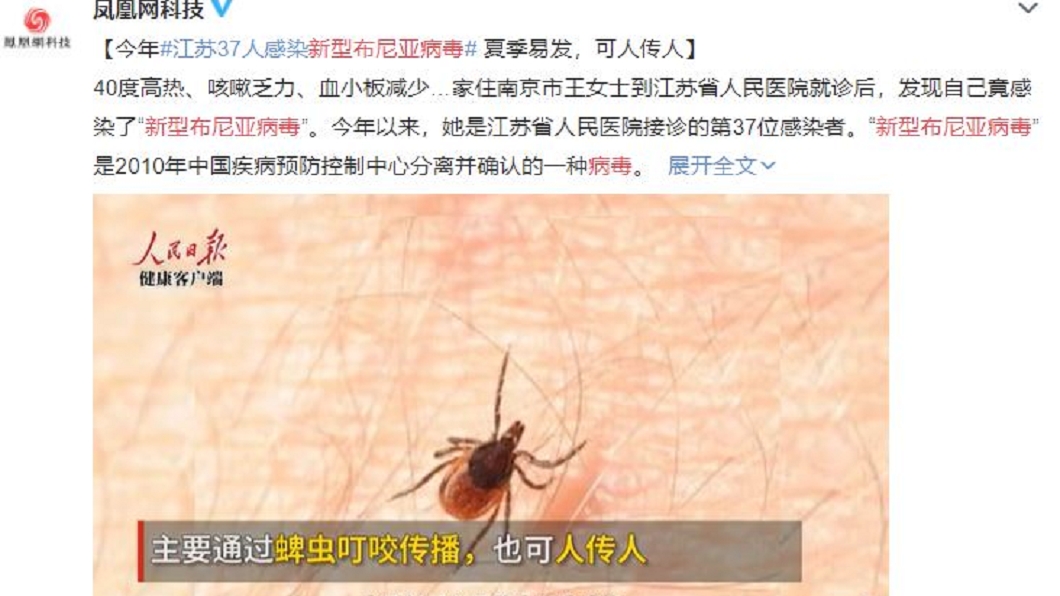 (圖/翻攝自鳳凰網科技微博)