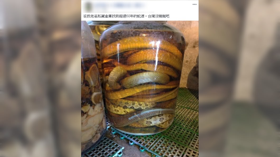(圖/翻攝自爆廢公社二館)