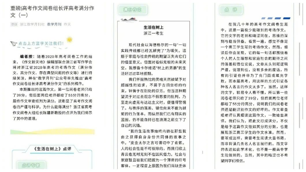 該篇作文內容不但文字艱深,甚至還出現許多平日不會用到的字詞。(圖/翻攝自中新網微博)