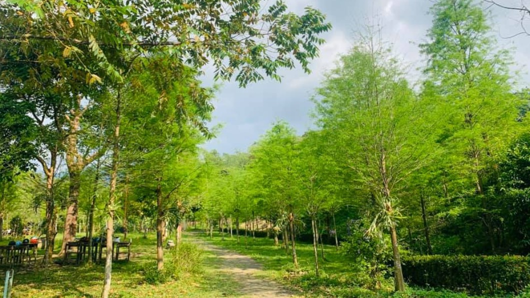 築夢森居過去是一整座檳榔山,經改建後營造出豐富的生態資源。(圖/翻攝自築夢森居FB)