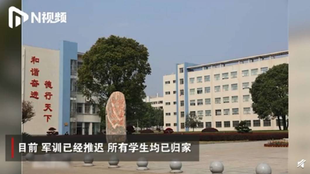 (圖/翻攝自N視頻)