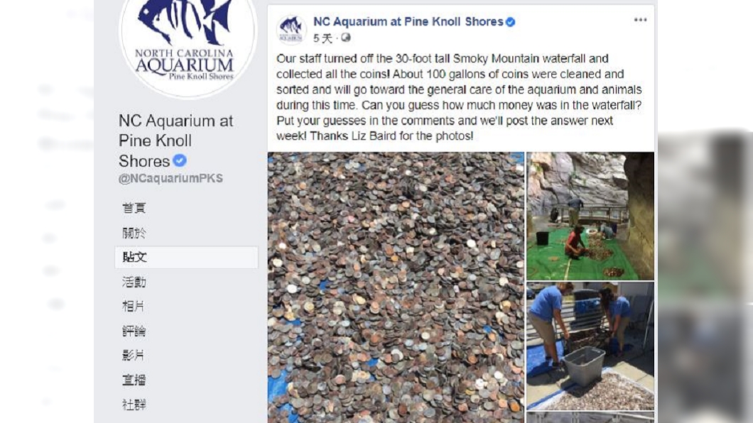 (圖/翻攝自NC Aquarium at Pine Knoll Shores臉書)