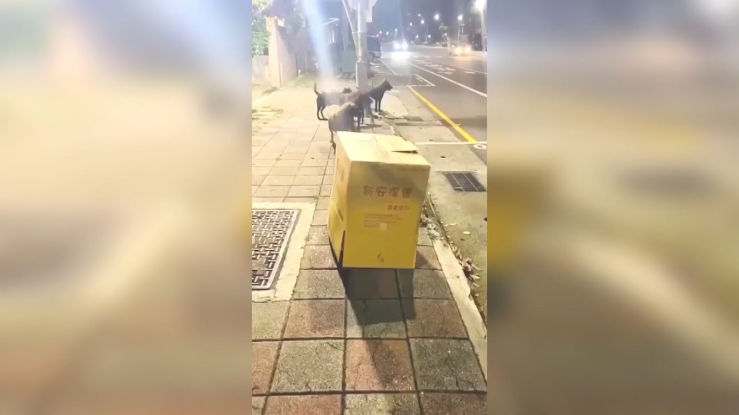 圖/翻攝自鄭又瑋