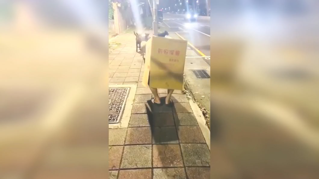 圖/翻攝自鄭又瑋